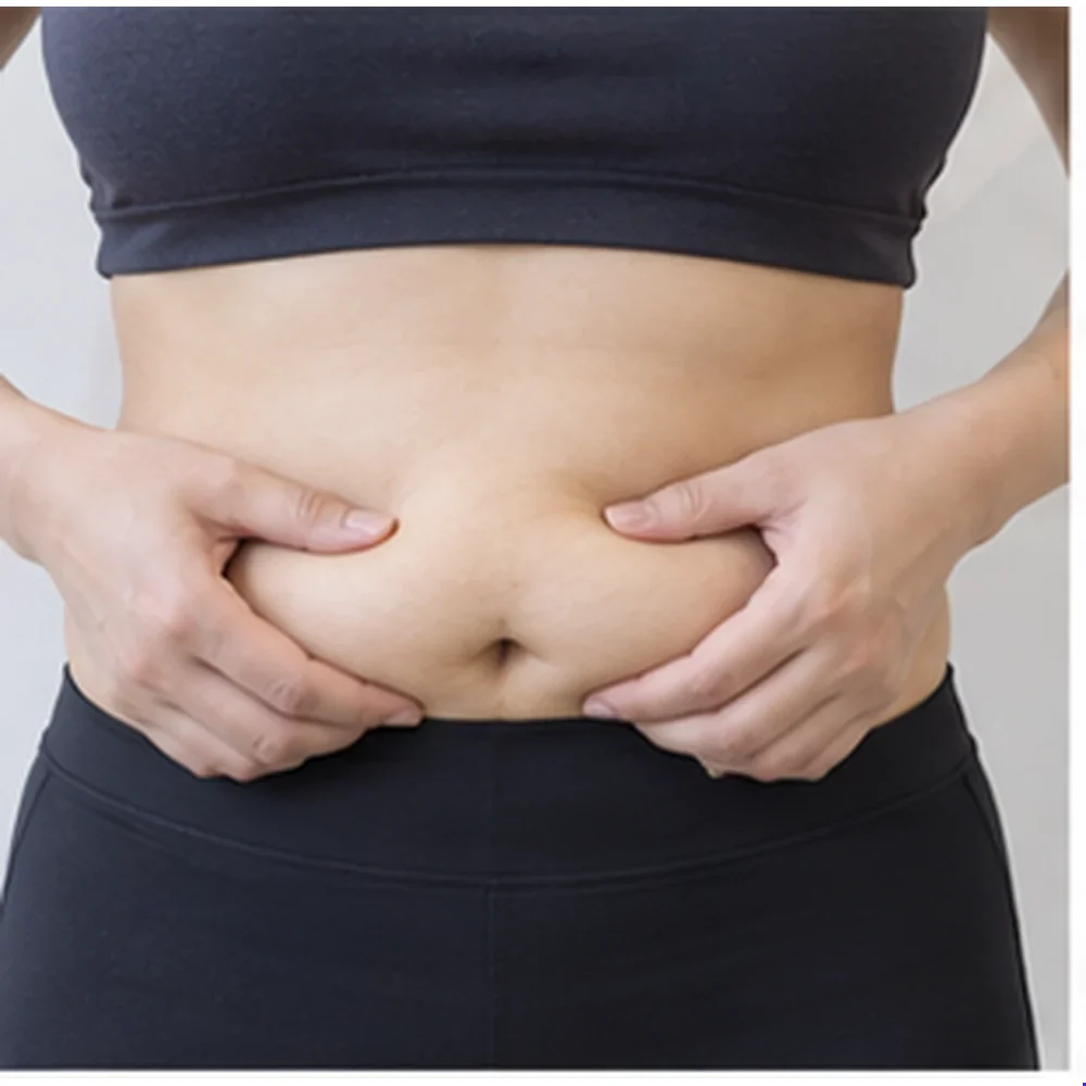 Potret rujukan dewasa lain bersama nasihat persediaan Pembentukan Badan EMBODY EMS