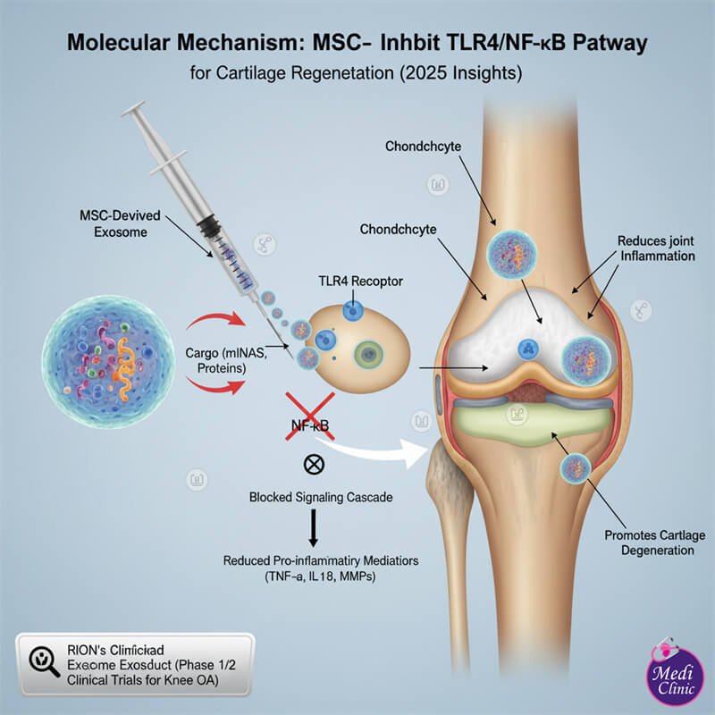 Doctor reviews knee osteoarthritis imaging assessment JB — treatment planning evaluation — Medi Clinic Johor Bahru